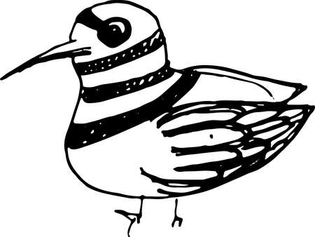 Ink hand drawn bird sketch. Vector outline illusytationのイラスト素材