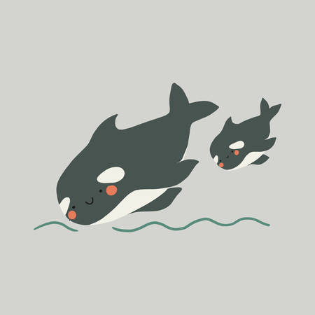 Cute flat killer whale drawing. Adorable little cartoon orca vector illustration. Childish rare animal wild ocean conceptのイラスト素材