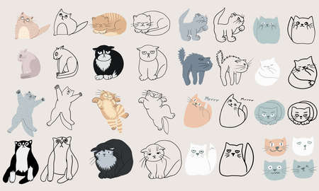 Hand drawn flat cute cats collection. Set of kittens with different emotions and poses. Vector colorful collection perfect for childish decoration clothes, patterns, stickers, cards, websiteのイラスト素材