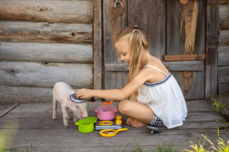 A girl plays with a pig in the yard. The child feeds the pig. Children take care of pets.の写真素材
