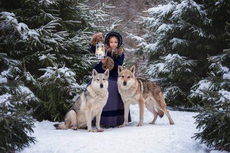 A cute girl in a beautiful vintage costume walks with wolves in the winter forest.の写真素材