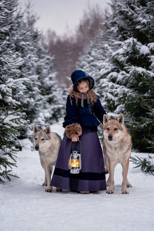 A cute girl in a beautiful vintage costume walks with wolves in the winter forest.の写真素材