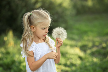 beautiful girl blowing on a big dandelion. Allergy free conceptの写真素材