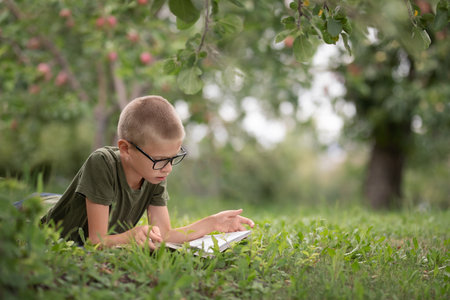 a boy with glasses lies on the grass in the park and reads a bookの写真素材