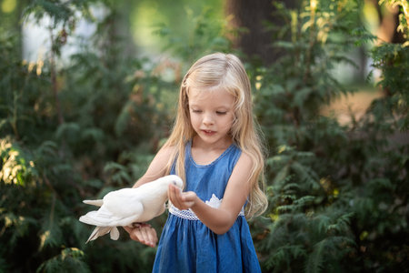 Cute little girl feeding pigeons from her handsの写真素材