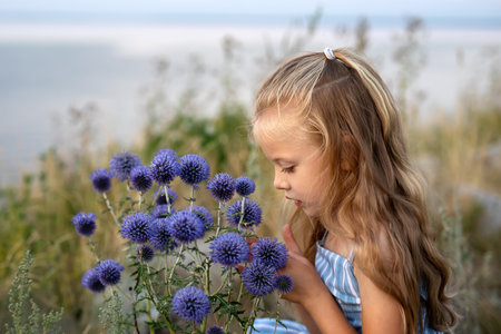 Little girl with long blond hair picks blue flowersの写真素材