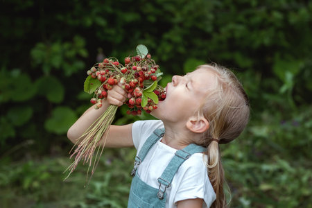 Cute  girl eating  fresh wild strawberriesの写真素材
