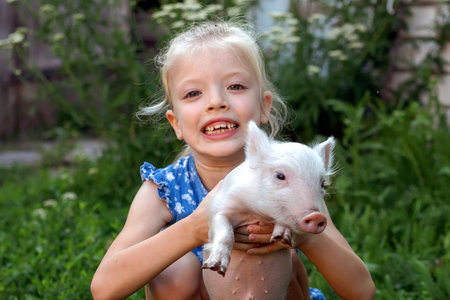 A girl plays with a piglet. White piglet in girls hands smiling. Children take care of pets.の写真素材