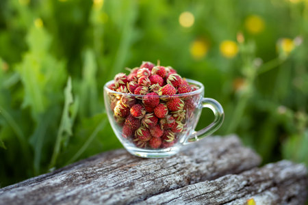 Glass cup with ripe wild strawberries. Summer berries harvest season. Healthy food. Copy space.の写真素材