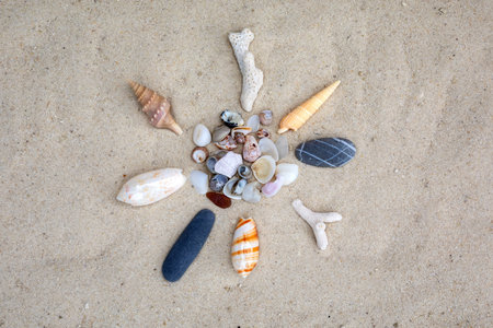 Flat lay composition with beautiful shells on sand in the shape of sun. summer travel and vacation.