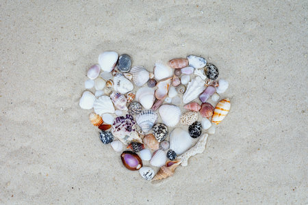 Heart from shell collection on white sand. Sea background. Travel and vacation theme.