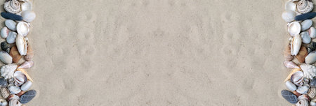 beach themed banner or header with beautiful shells. Vacation and sea concept.
