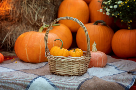 Autumn harvest. Small decorative pumpkins in a wicker basket on a plaid blanket.の写真素材