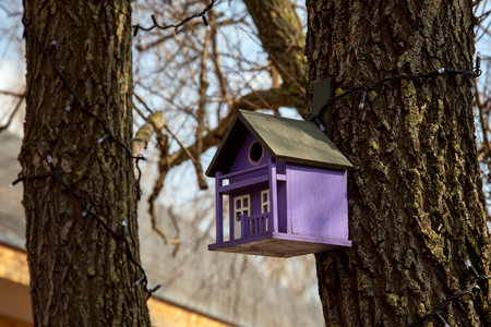 Wooden purple birdhouse on a tree close-up. Shelter and nest for birds.の写真素材