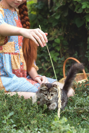 Red-haired girl plays with a kitten outdoors in the grass. A village girl plays with a cat. Pet care.の写真素材