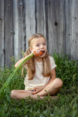 Child Eating Fresh Carrotの写真素材