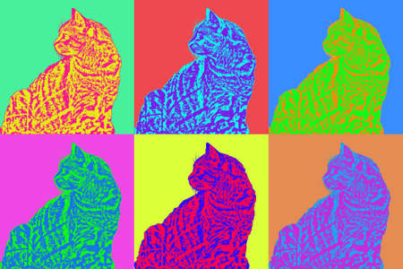 pop art style illustration colorful. cat profile.の写真素材