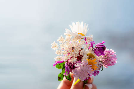 Holding bouquet of wild flowers, Bouquet of wild flowers in handの写真素材