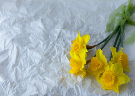 Yellow daffodils on a grey background. Flowers on grey background. Spring white narcissus with yellow center lying on grey table with plaster textureの写真素材