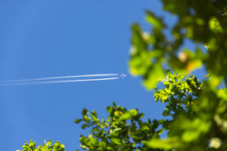 Flying plane in the blue sky. View from the bottom of the trees and the plane. Green oak leaves on a...