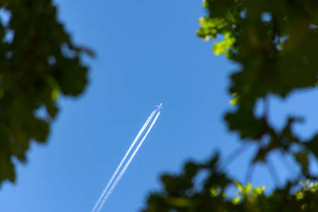 Flying plane in the blue sky. View from the bottom of the trees and the plane. Green oak leaves on a blue sky background. Traveling by plane. Flying the ship. A trace in the sky from an airplane.の写真素材