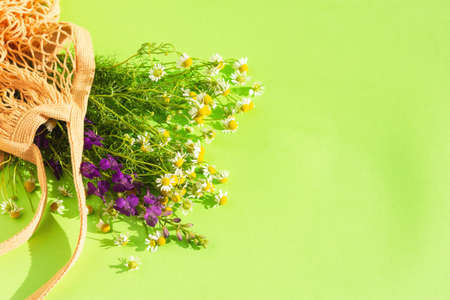 Bouquet of field daisies on a green background top view. Creative summer card design. Floral design background. Bright Sunny still life. The concept of hi summer.の写真素材