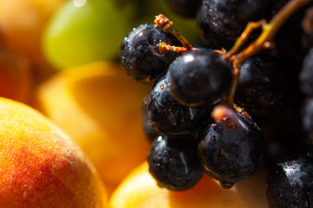 Peaches and grapes close-up. Macro photography of fruit in natural light. Ripe juicy peaches. Sweet delicious large grapes. Fruit for juice. Fresh tropical fruit on a plate.の写真素材