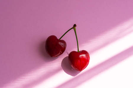 Cherry close-up on a pink background. Two large berries in the shape of a heart. Creative summer pink background. The concept of love and joy.の写真素材