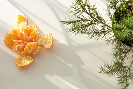 Christmas composition of tangerines and Christmas trees. Bright holiday card. Top view of tangerines and Christmas tree branches. New year's design. Beautiful shadows from the sun on a white table.の写真素材