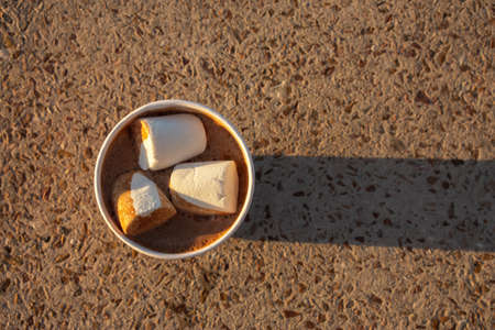 Cocoa with marshmallow top view in natural evening light. Hot drink in a paper Cup top view....