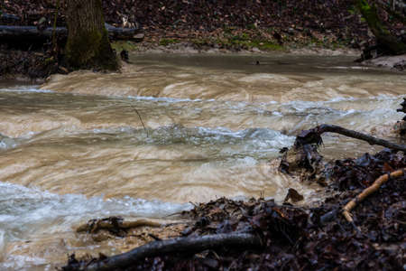 Mountain river in the autumn forest. Streams of water on a long exposure. Raindrops on the river....