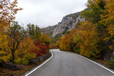 Paved road in the autumn forest. Colorful autumn landscape with mountains. The concept of travel....