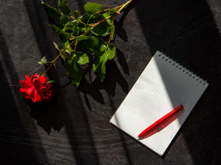 Red rose and Notepad on a black background. Top view of the flat layout for the holiday. Beautiful shadows and soft evening light on the drain. Blank form with a red pen. The layout of the cards.の写真素材