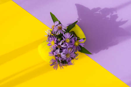 A composition of autumn flowers and a miniature car. The concept of delivery of flower bouquets. Purple September flowers on a bright background. Birthday greeting card, March 8, Mother's dayの写真素材