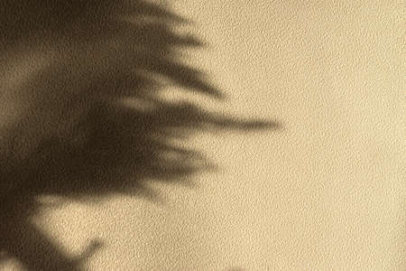 Abstract shadow on a beige wall. Trendy light iridescent color Set Sail Champagne in harsh sunlight....