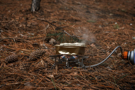 Tourist gas burner for heating food. Open fire close-up. Metal portable small burner in the forest on coniferous litter. The concept of hiking, tourism, outdoor activities. Warming up tourist foodの写真素材