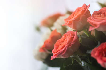 Delicate pastel roses close-up on a blurry light background. A fragrant bouquet of peach roses. Gift for birthday, wedding, Valentine's Day, Mother's Day. Soft focus, diffused light, copy spaceの写真素材