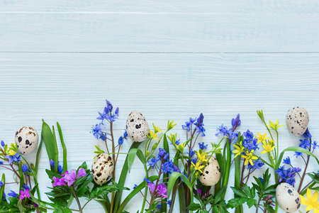 Easter composition the first spring flowers quail eggs on a mint wooden background. Happy Easter concept. Creative rustic style. Horizontal banner. minimalism. Easter greeting card with copy spaceの写真素材