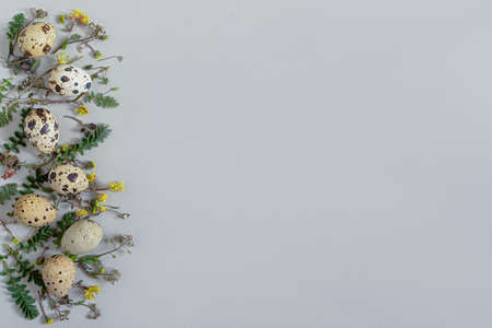 Easter quail eggs aesthetics still life. Festive Easter composition in neutral colors. Stylish flat layout of grass blades, flowers on a gray background. Happy Easter, greeting card design. Copy spaceの写真素材