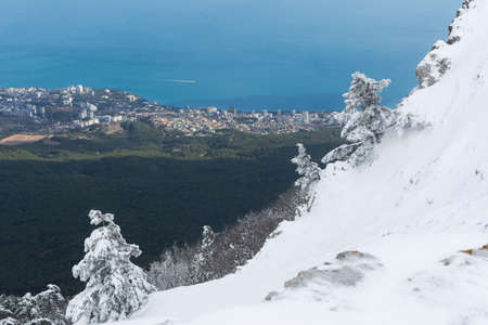 Winter landscape with snow-covered pine trees on the slopes in the mountains of Crimea. Charming...