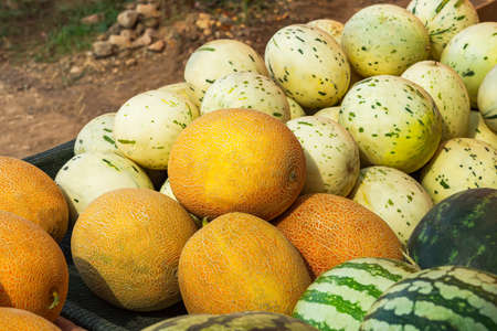 Watermelon melon close-up in a box at the market. Juicy orange, green sweet fruits are sold in the store. The concept of summer, vegetarianism, harvesting. Background of fruit. Seasonal summer foodの写真素材