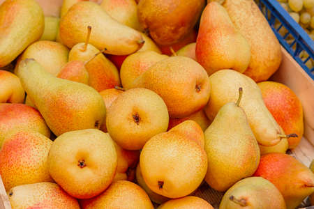 Pears background close-up in a box in the market. Juicy orange sweet fruits are sold in the store. The concept of summer, vegetarianism, and harvesting. Yellow-orange elongated pears with speckles.の写真素材