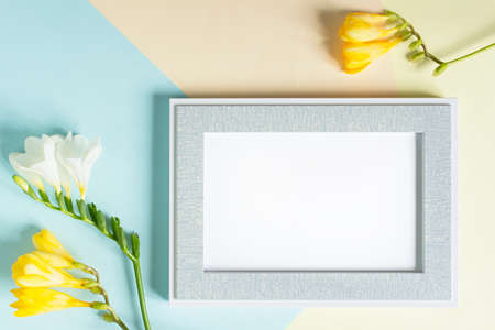 Mother's Day. Greeting card with yellow and white flowers. Flat layout, frame with space for text. Happy Mother's Day. Delicate pastel pink and blue background. Beautiful spring design, mock-upの写真素材