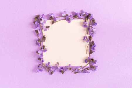 Mother's Day. A greeting card with purple spring flowers. Top view of small violets and leaves. Beautiful spring design, flower frame, creative composition. Women's Day, March 8. Flat lay, copy spaceの写真素材