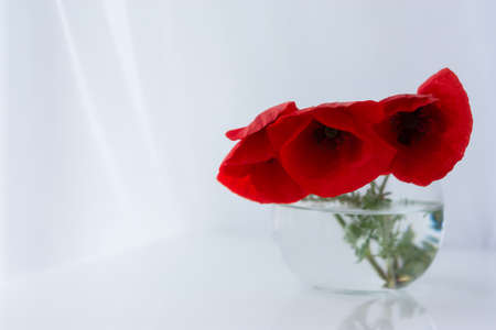 A bouquet of red poppies on the table in a glass vase. Still life with wild flowers in the home interior. Soft focus, macrophotography of petals, stamens. Layout of a greeting card for Mother's Dayの写真素材