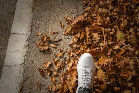 Autumn foliage legs top view. Autumn background of fallen brown-orange leaves. White half-boots for...