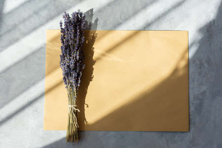Dry lavender bouquet on a gray background close - up view from above. Collecting beautiful summer flowers. The concept of aromatherapy, cosmetology, alternative medicine. Shadows, flat lay, copy spaceの写真素材