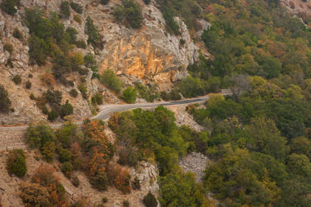 Road autumn forest aerial. Beautiful view of the colorful orange-brown forest in the sunset warm light. A winding road along a mountain serpentine without cars. The concept of travel, commuter tripsの写真素材