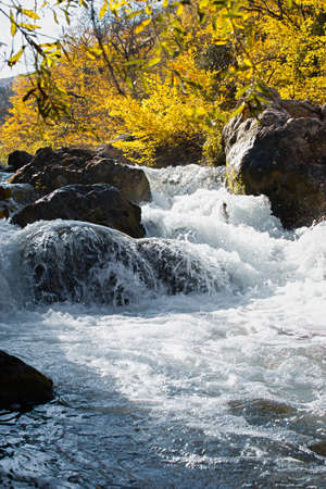 Autumn on a mountain river. Colorful vertical autumn landscape with rapid movement of water and yellow deciduous trees. Bright sunlight, glare. The concept of the beauty of nature, vitality, energyの写真素材