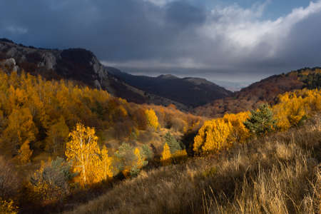 Autumn forest mountains. Beautiful colorful autumn yellow orange forest in bright sunlight. Panoramic landscape with mountains, rays, blue haze. Mixed deciduous forest. Birch and pine trees nearbyの写真素材